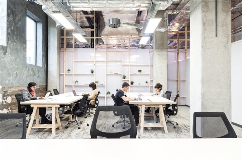 The Collective image 3