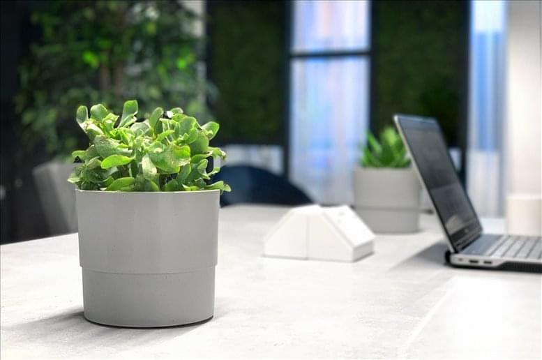 Liberty Workspace image 5