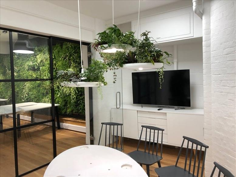 Paper Plane Studios image 1