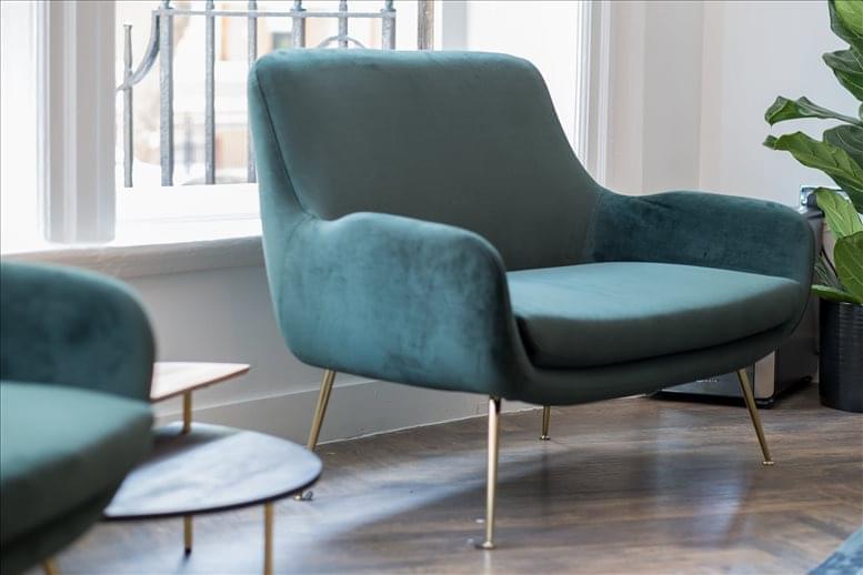 The Collective image 5