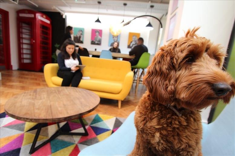 Business Environment Group image 4