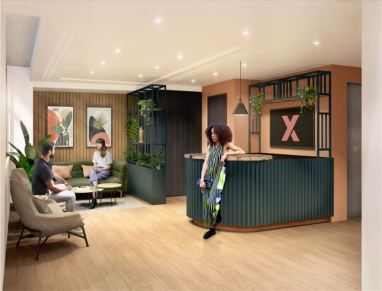 X+Why Limited  image 4