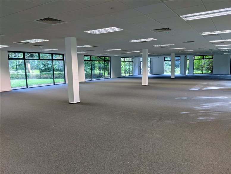 The Sandbox Workspace image 2