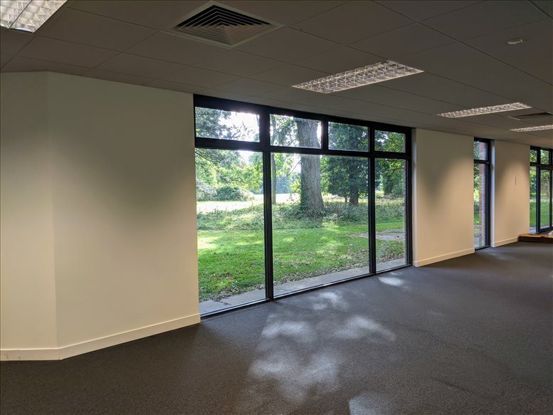 The Sandbox Workspace image 4