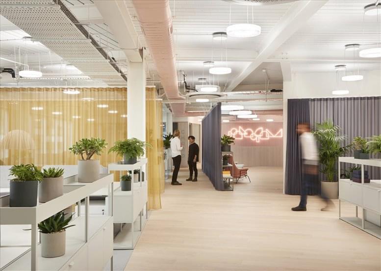 Thirdway Pulse image 5