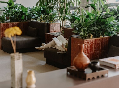 Meadow in Westbourne Park, London image 4