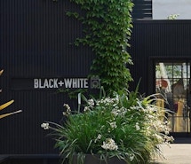 The Office Group - Black and White profile image