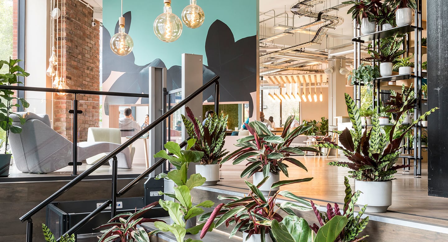 Uncommon Borough image 5