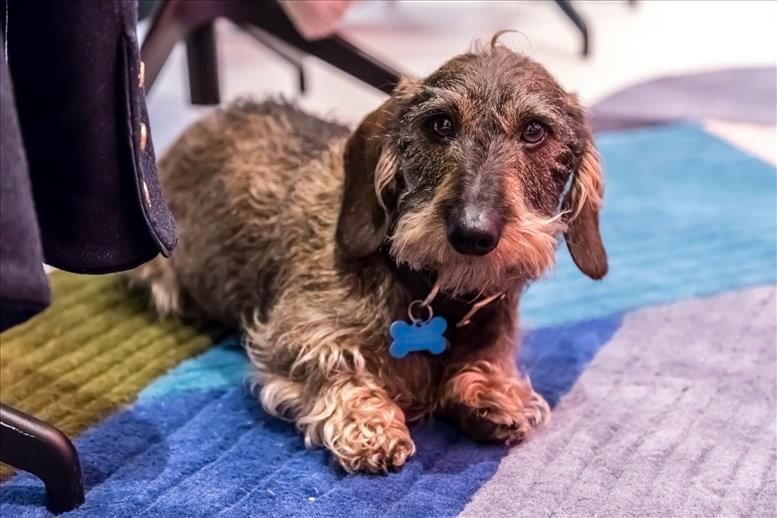 That Space (Property Only Cowork Space) image 3