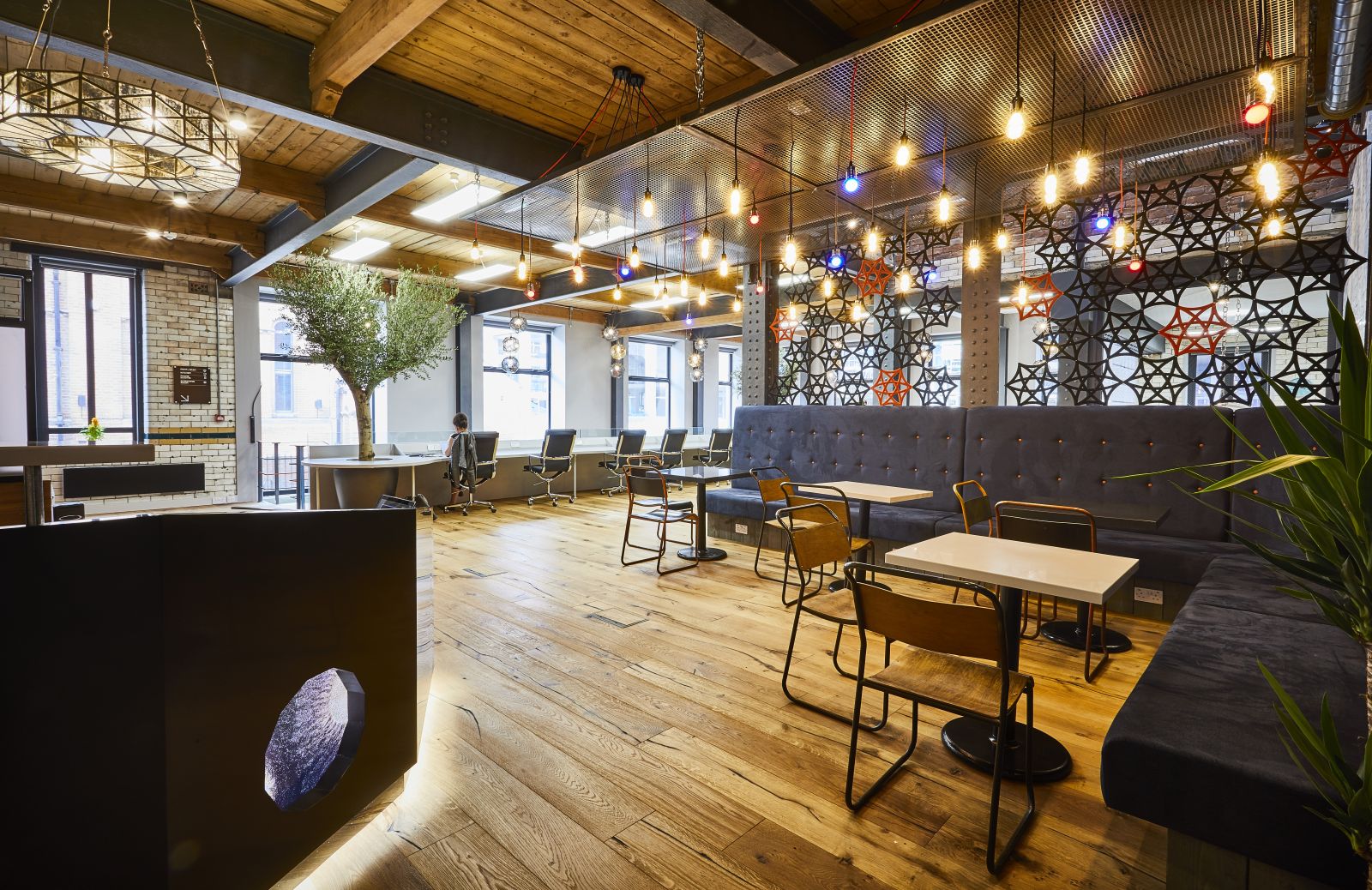 Colony profile image