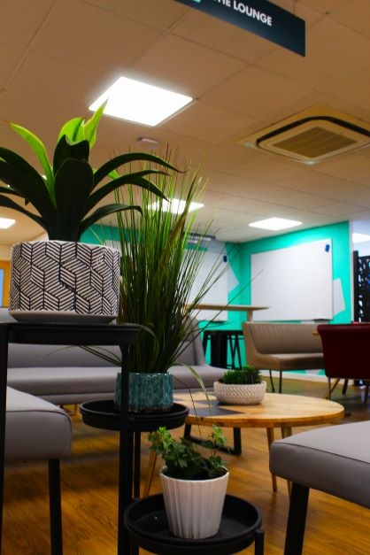 Floe Newcastle image 5