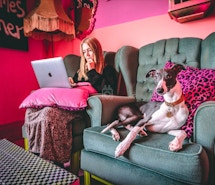 CSpace Newquay profile image