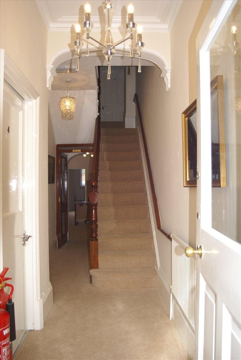 Black Swan Events image 3