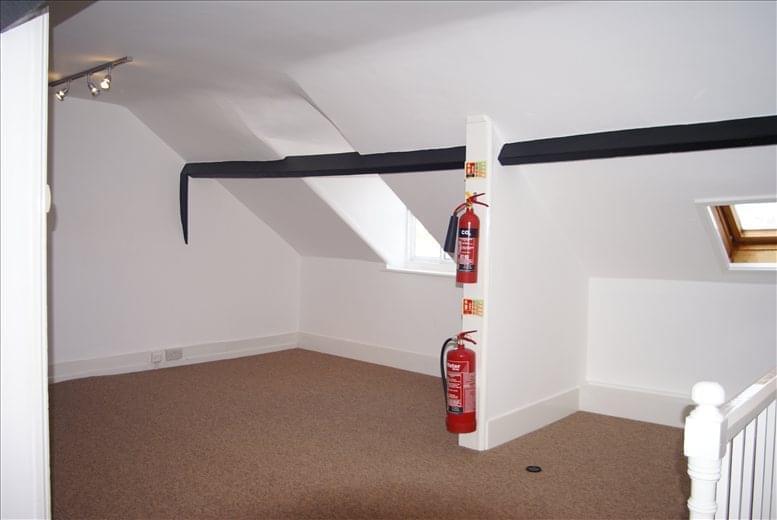 Black Swan Events image 5