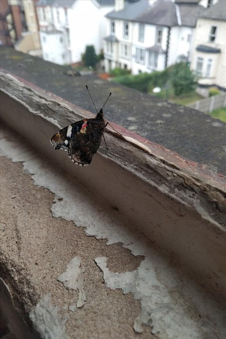 North Nottinghamshire Business Centre image 5