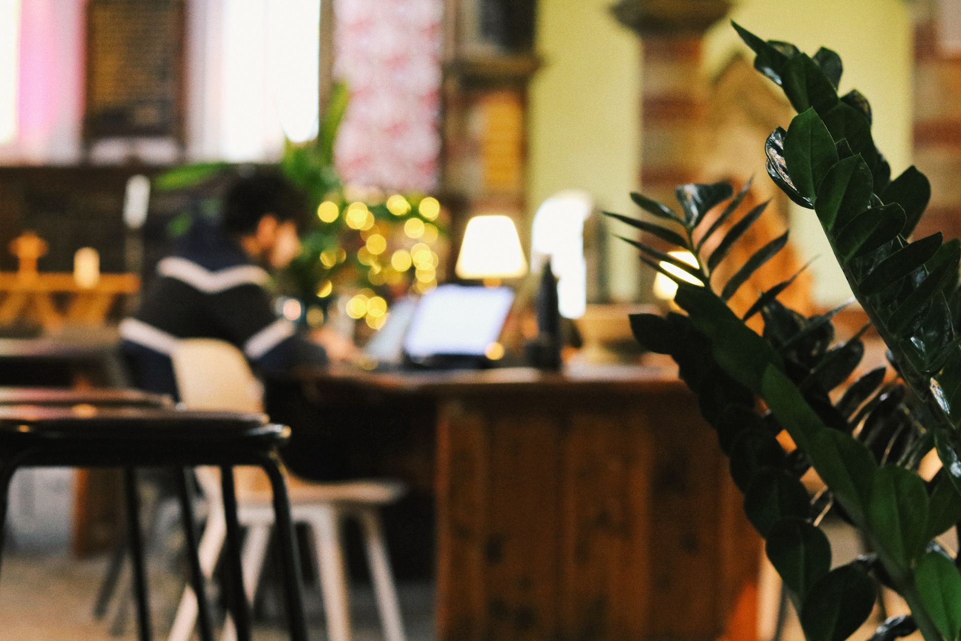 The Host Space image 2