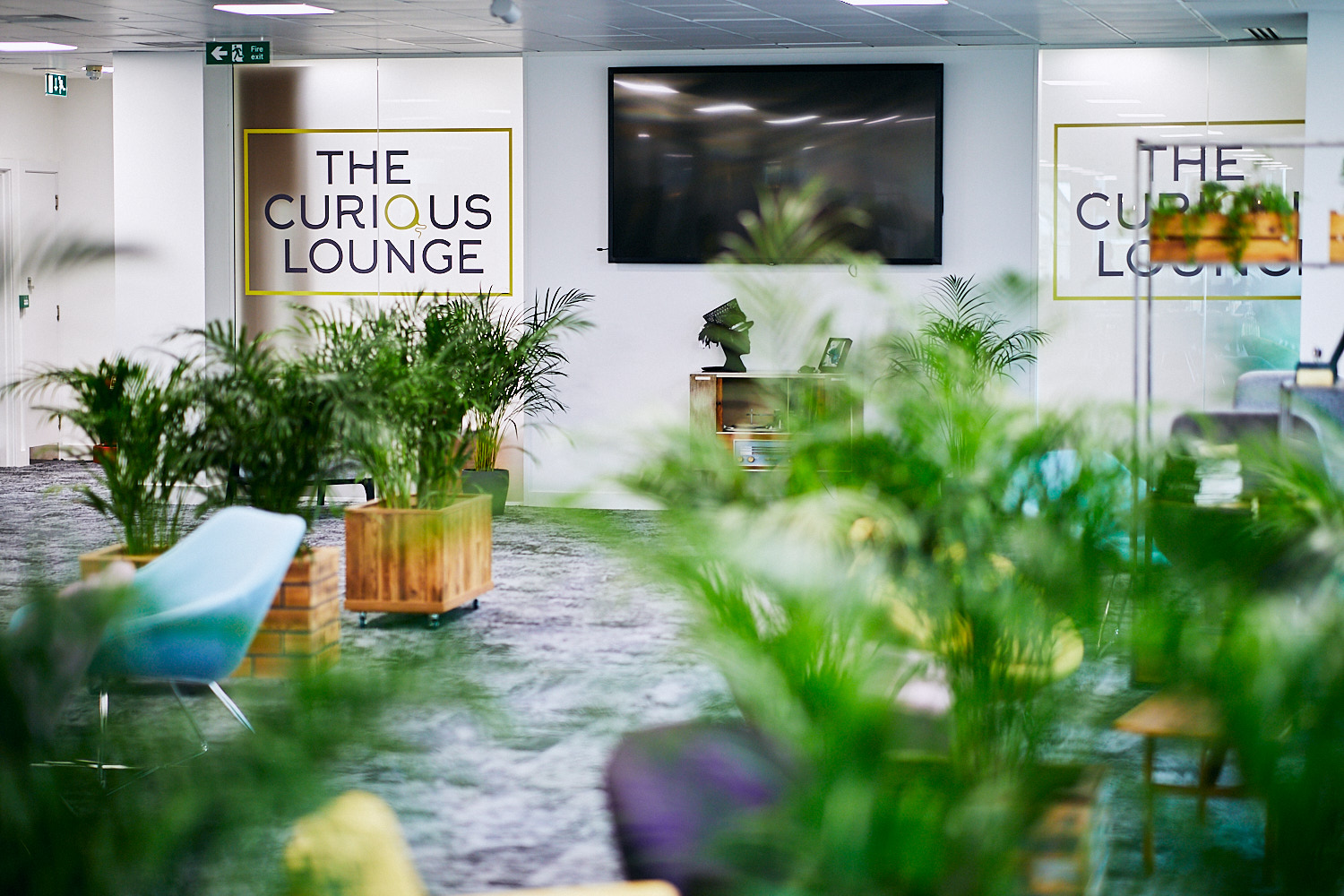 The Curious Lounge image 2