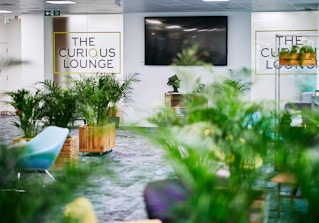 The Curious Lounge image 2
