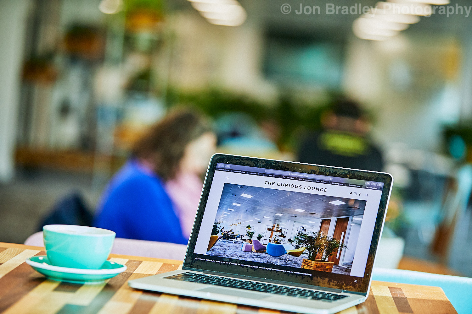 The Curious Lounge image 5