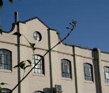 The Southborough Centre profile image