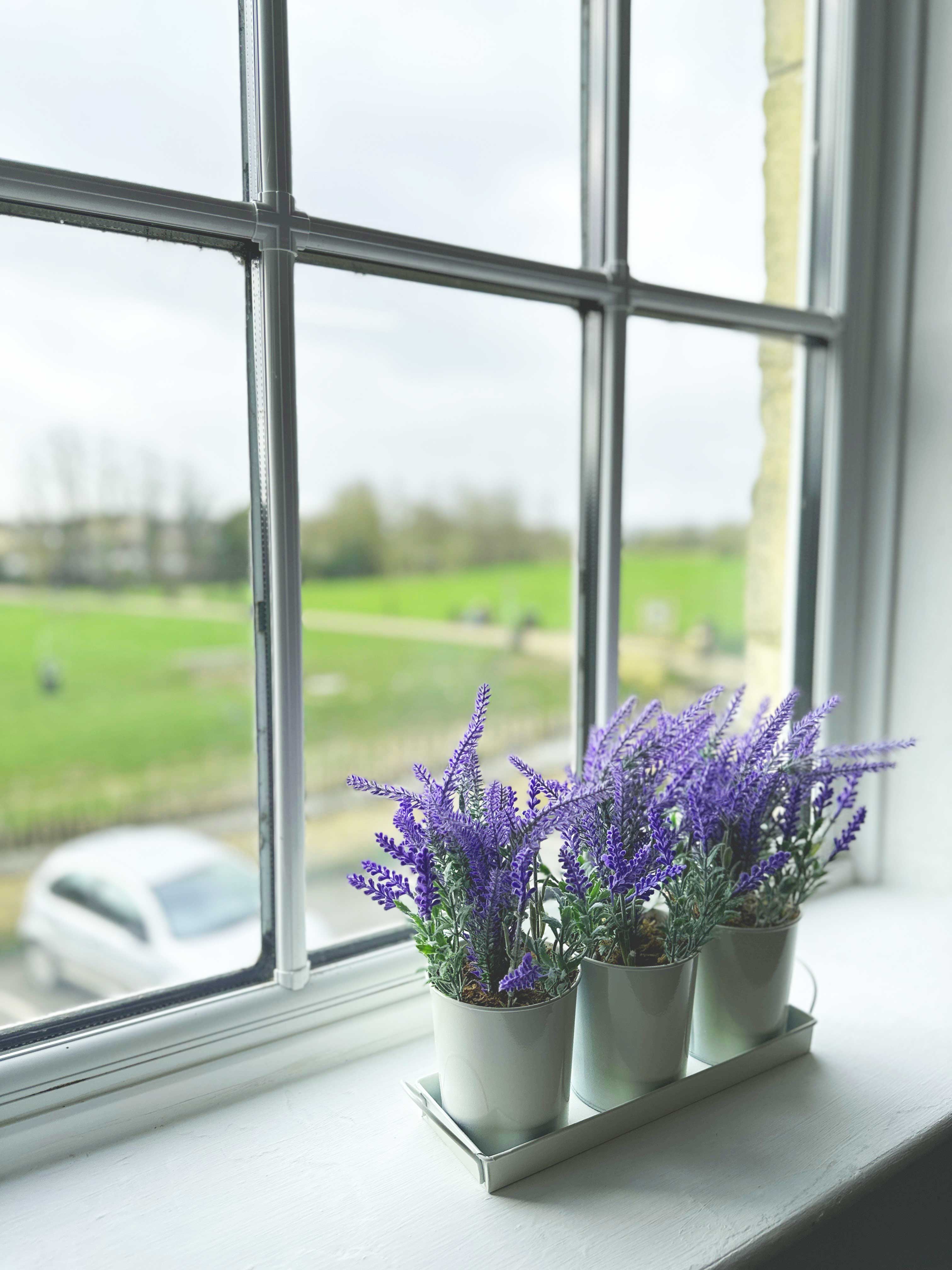 Meadow Desks image 3