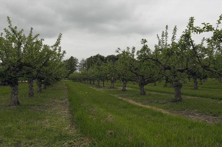 The Core Business Centre image 3