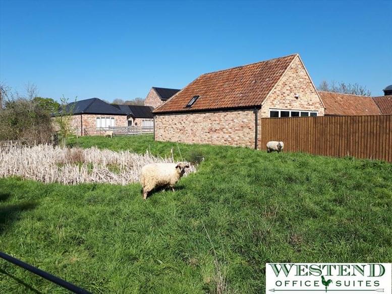 Westend Office Suites image 4