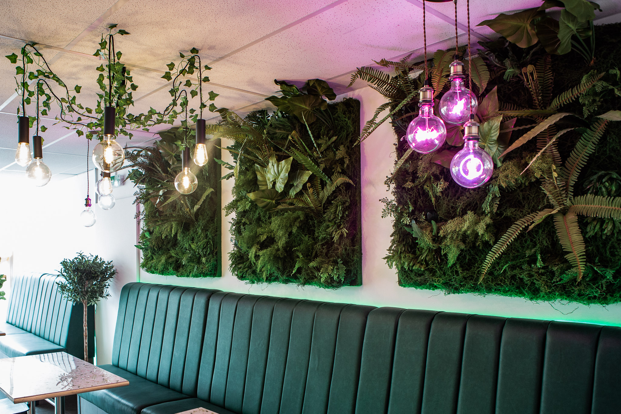 Little Fforest Cafe image 2