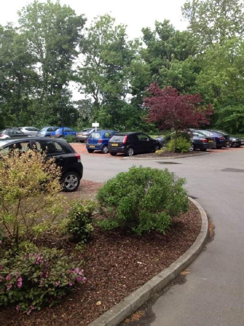 Coolpink Ltd image 4