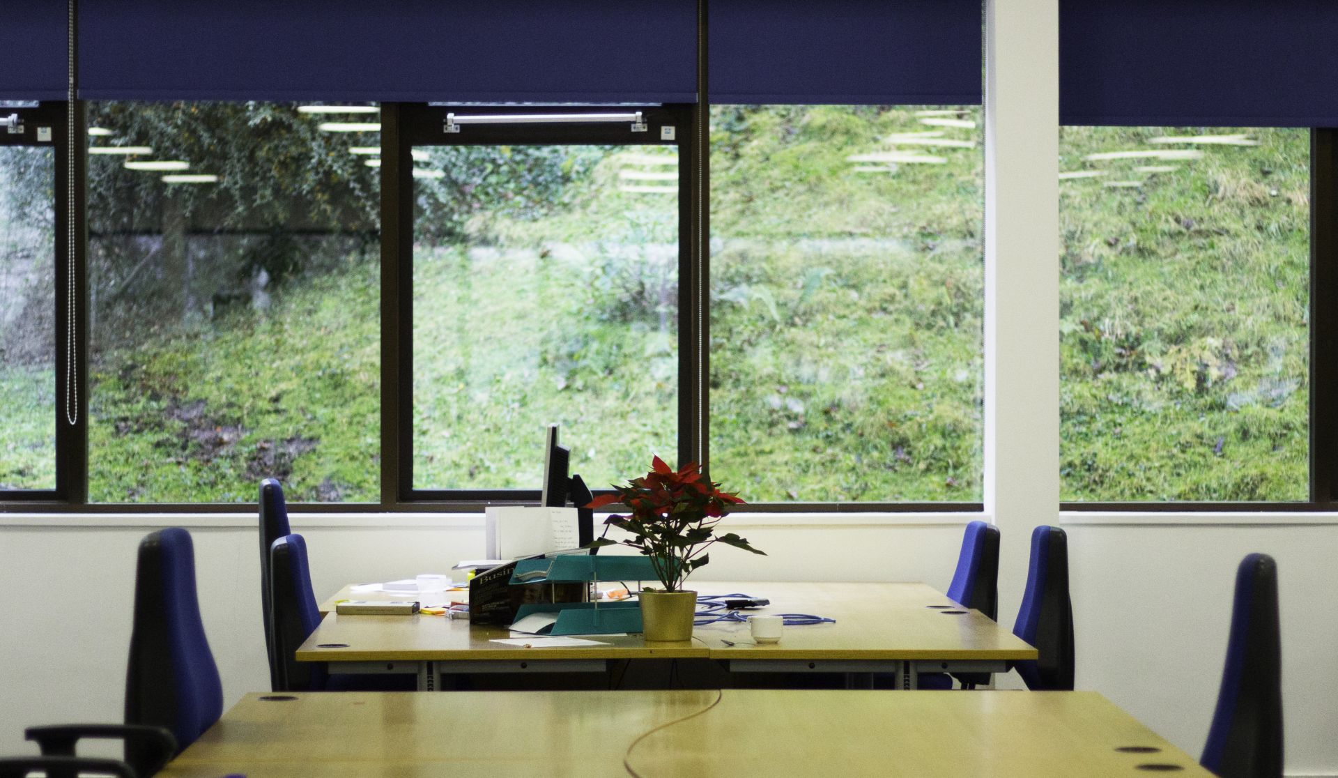 Our Distrikt image 2