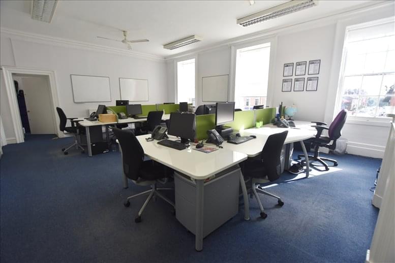 Cactus Search image 2