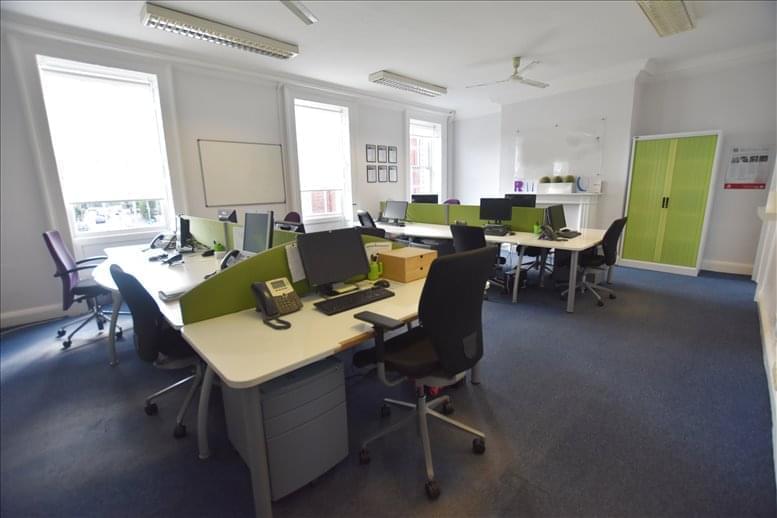 Cactus Search image 4