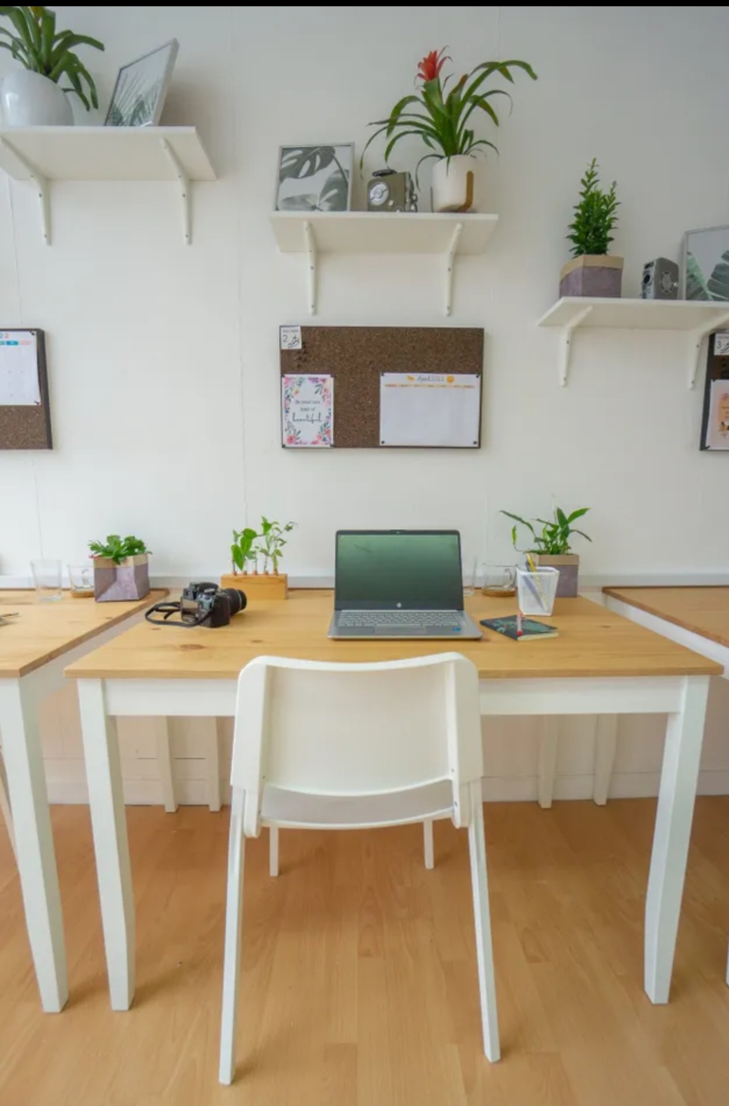 The Greenhouse image 4