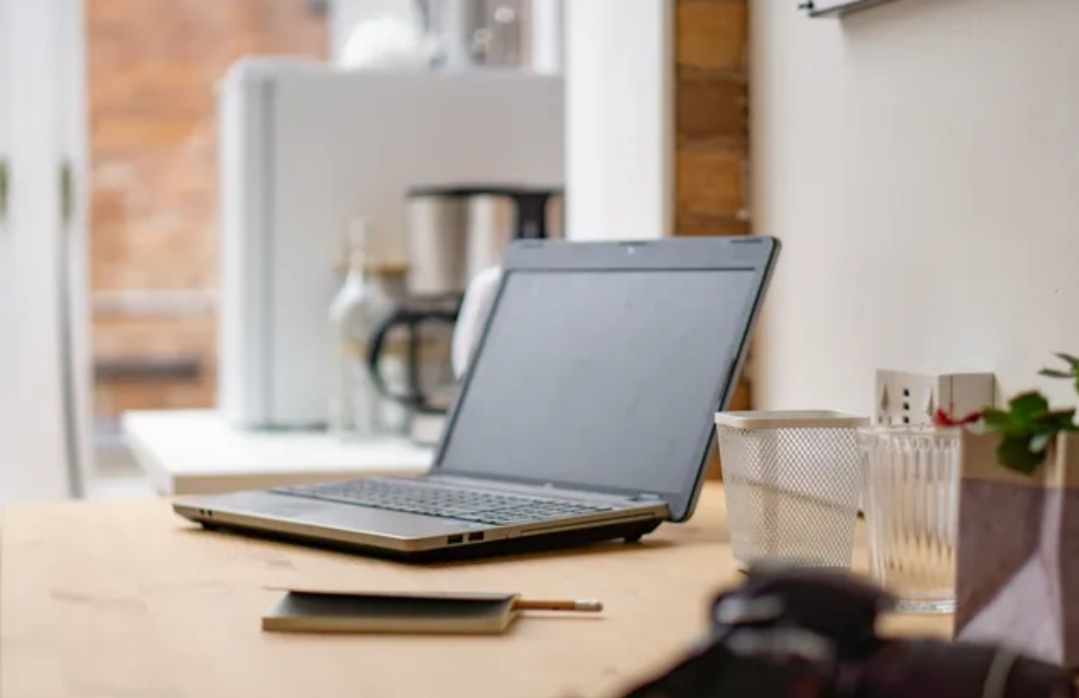 The Greenhouse image 3