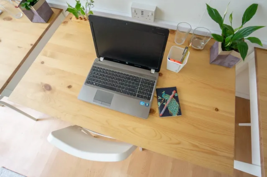 The Greenhouse image 5