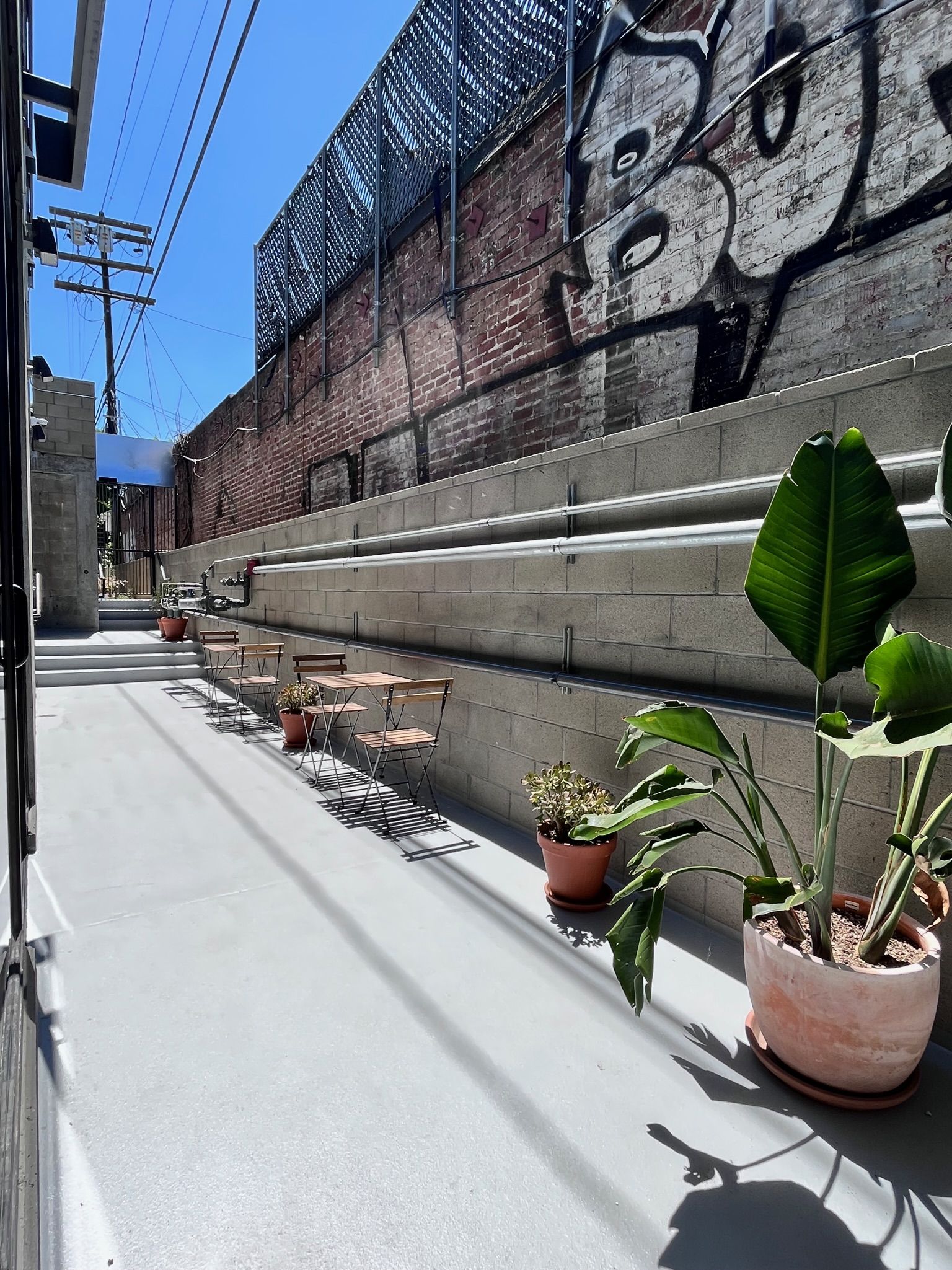 BLANKSPACES LA image 3