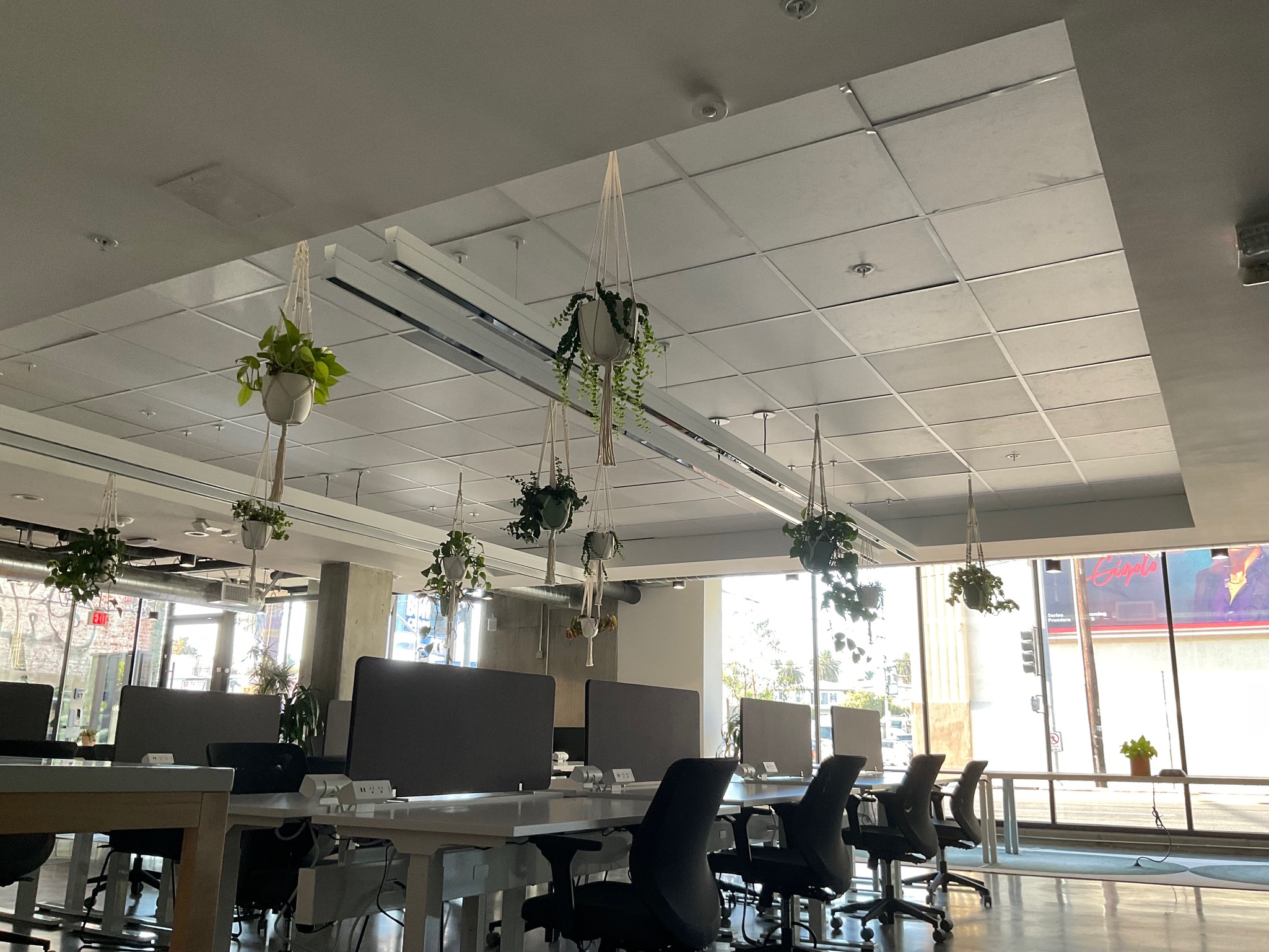 BLANKSPACES LA image 5