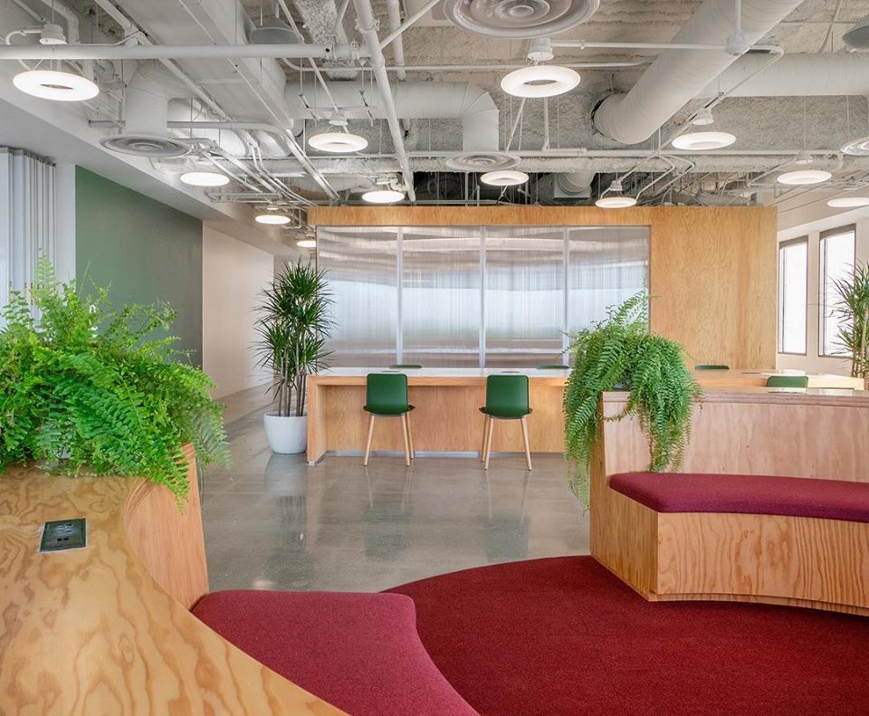 Ethos Society image 5