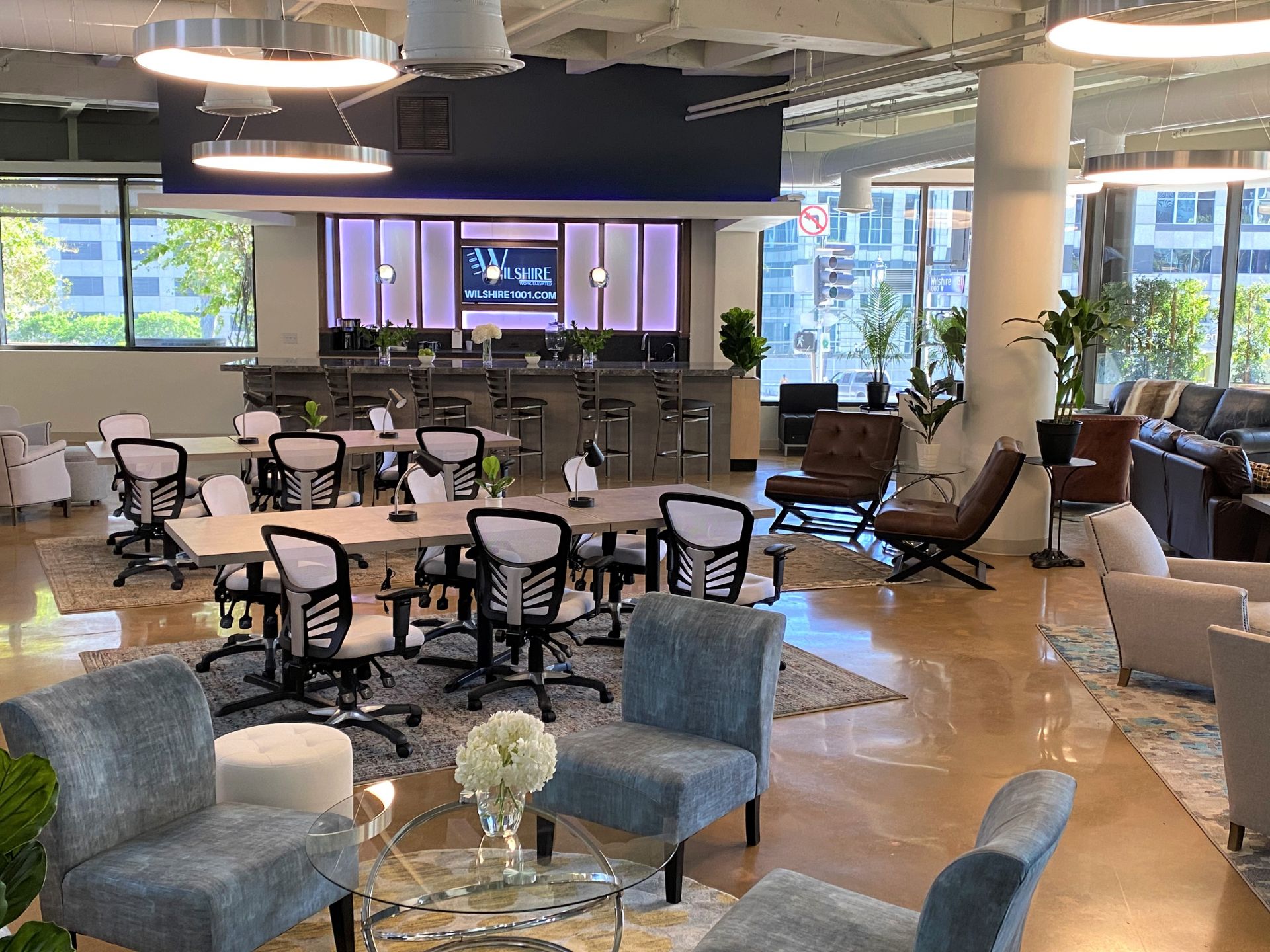 Wilshire 1001 image 3