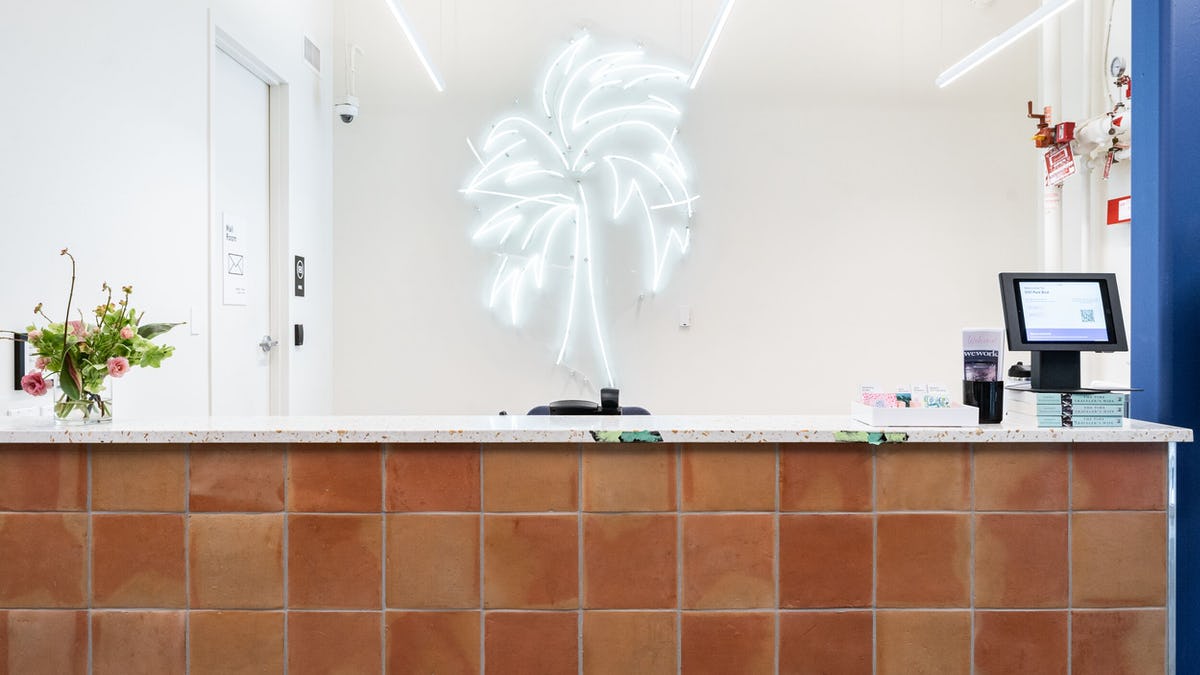 WeWork 3101 Park Blvd image 3