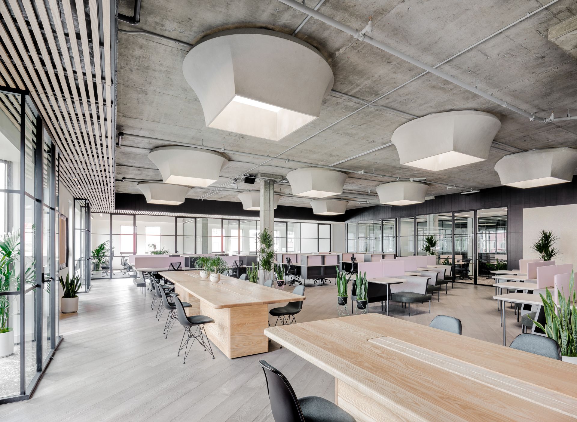 CANOPY Jackson Square image 2