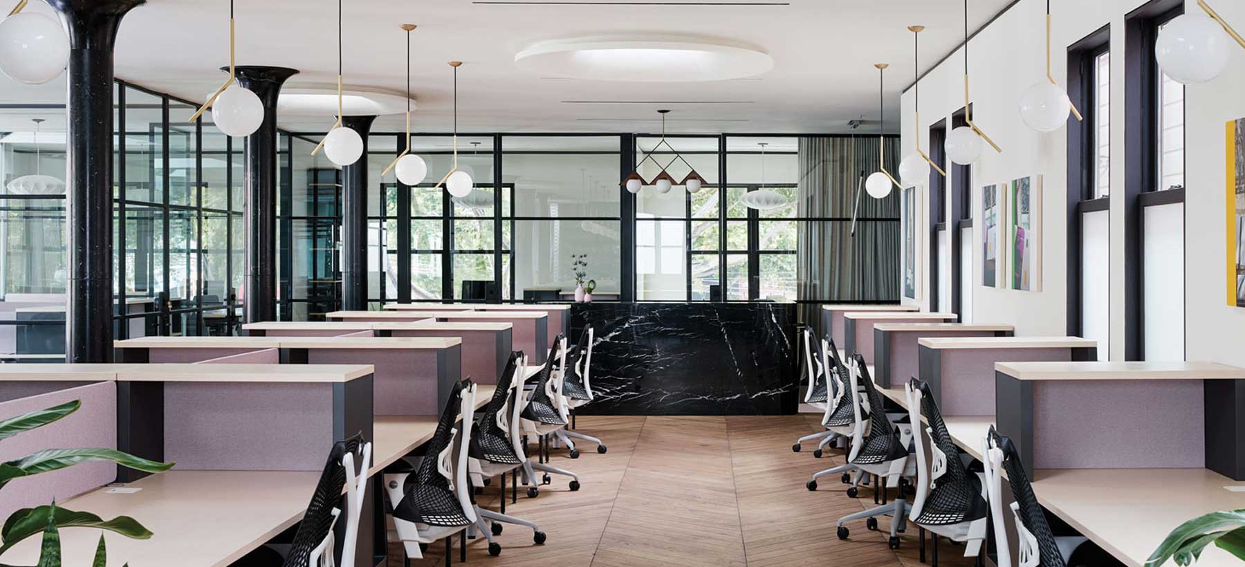 CANOPY Pacific Heights image 3