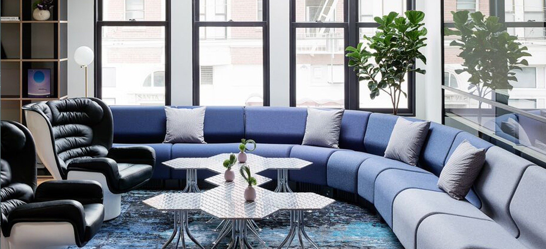 CANOPY Pacific Heights image 5