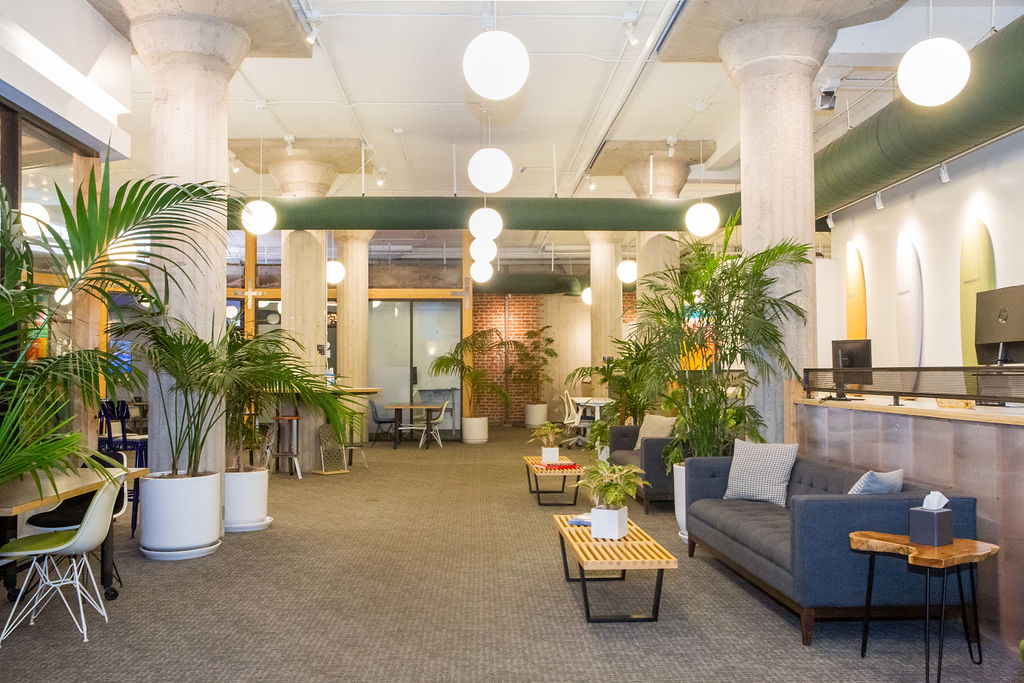 Kiva Cowork: Funk Zone image 2