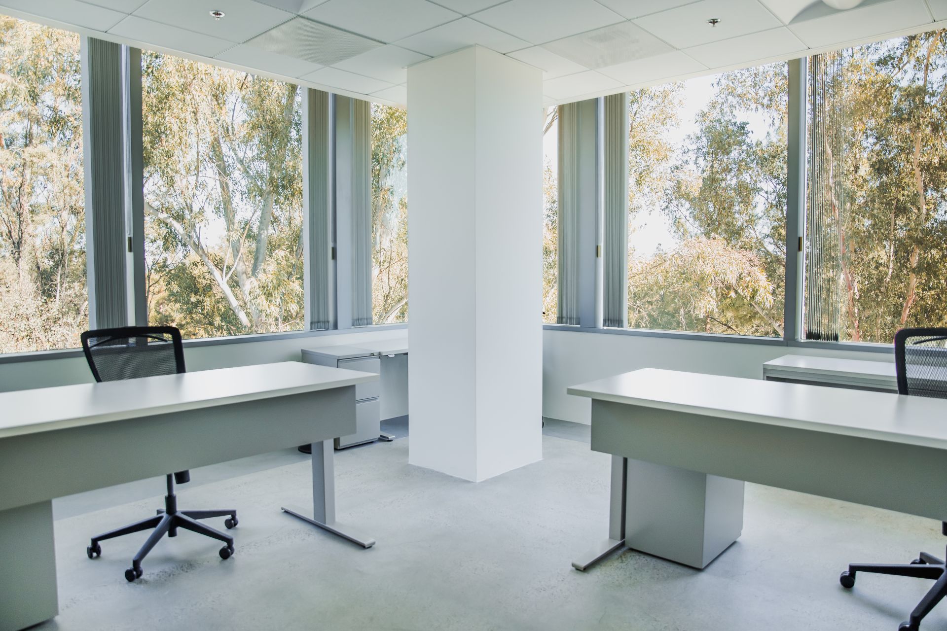 Evolved Spaces image 4