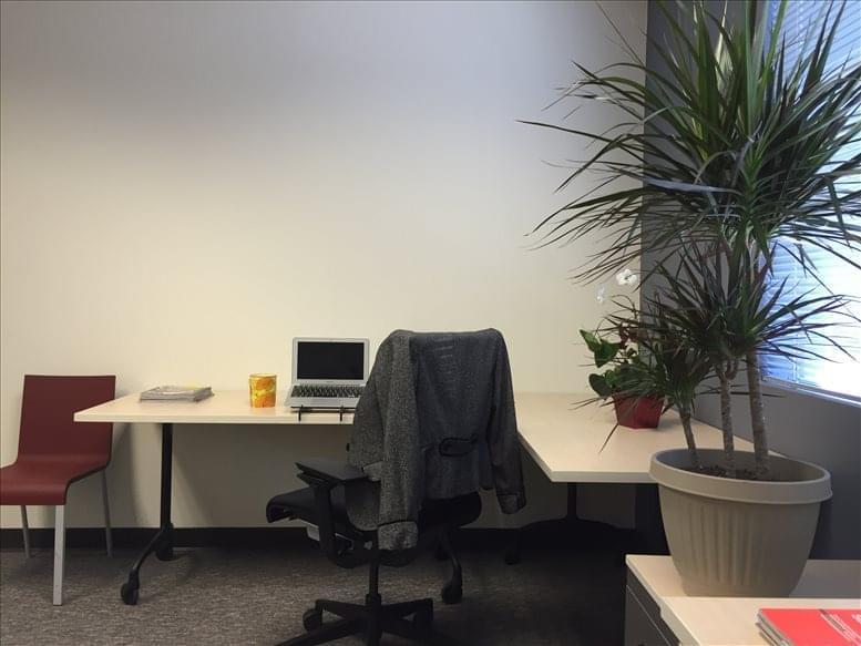 The Satellite Center Santa Cruz image 5