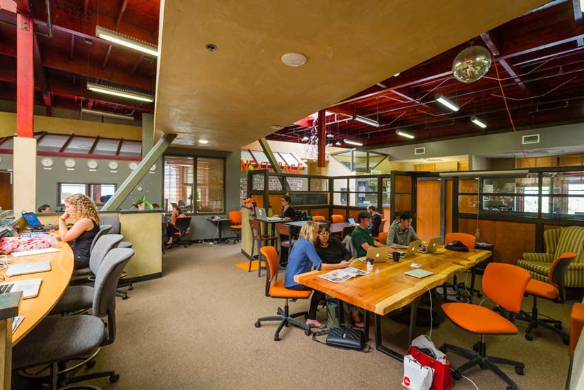 NectSpace Santa Cruz image 4