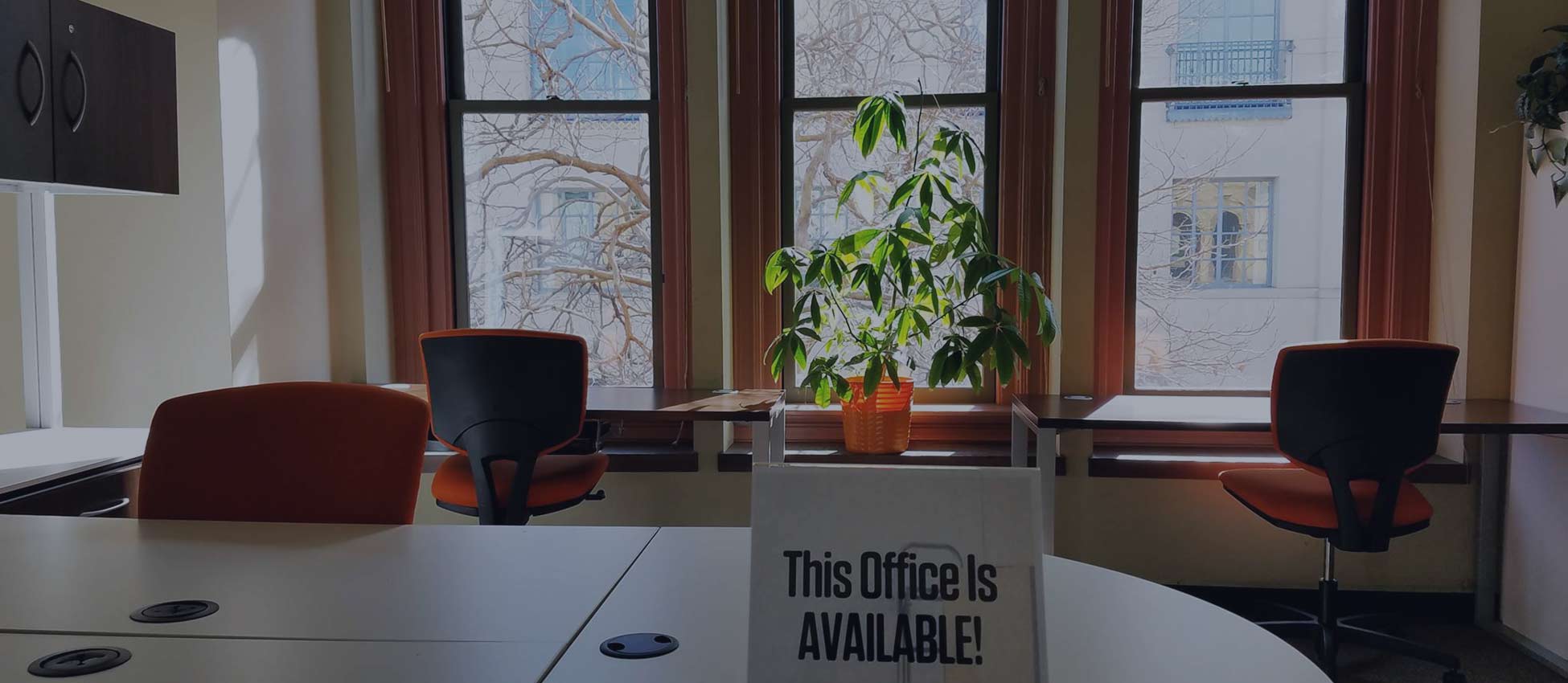 NectSpace Santa Cruz image 5