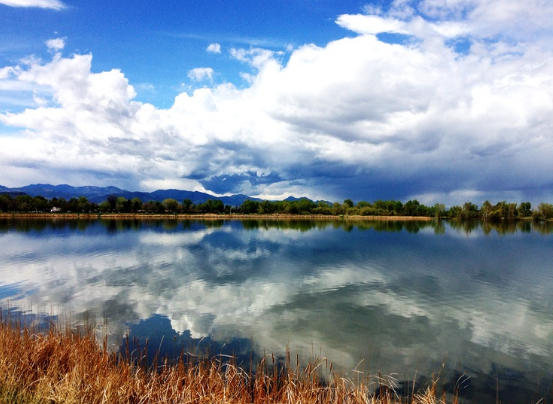 CO Work'n Denver image 2