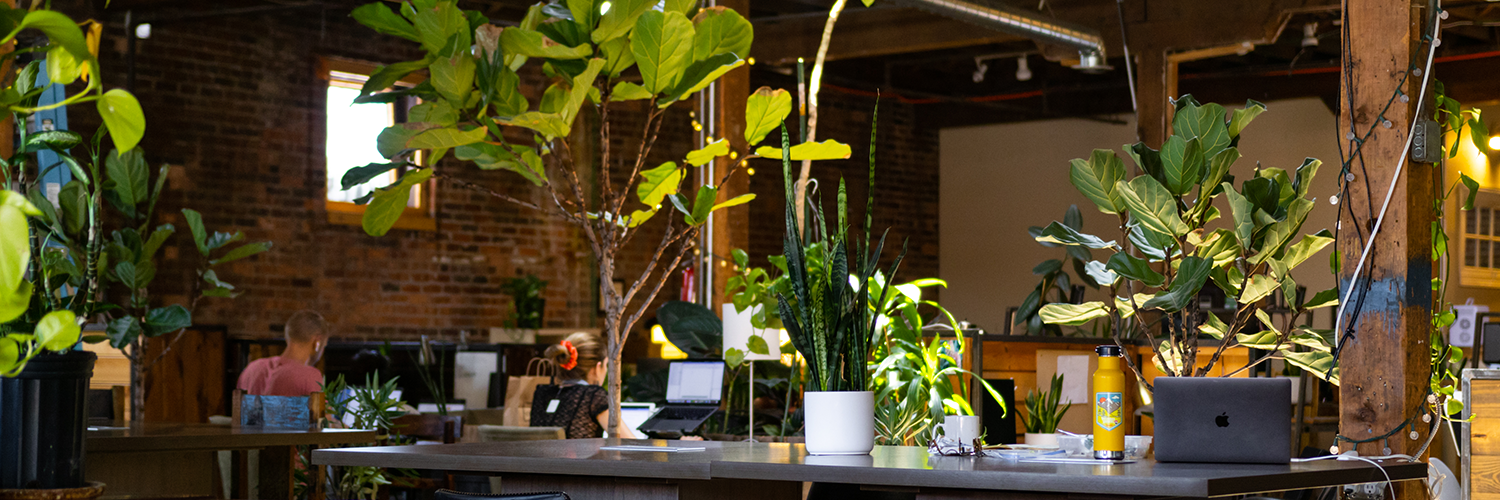 Green Spaces image 5